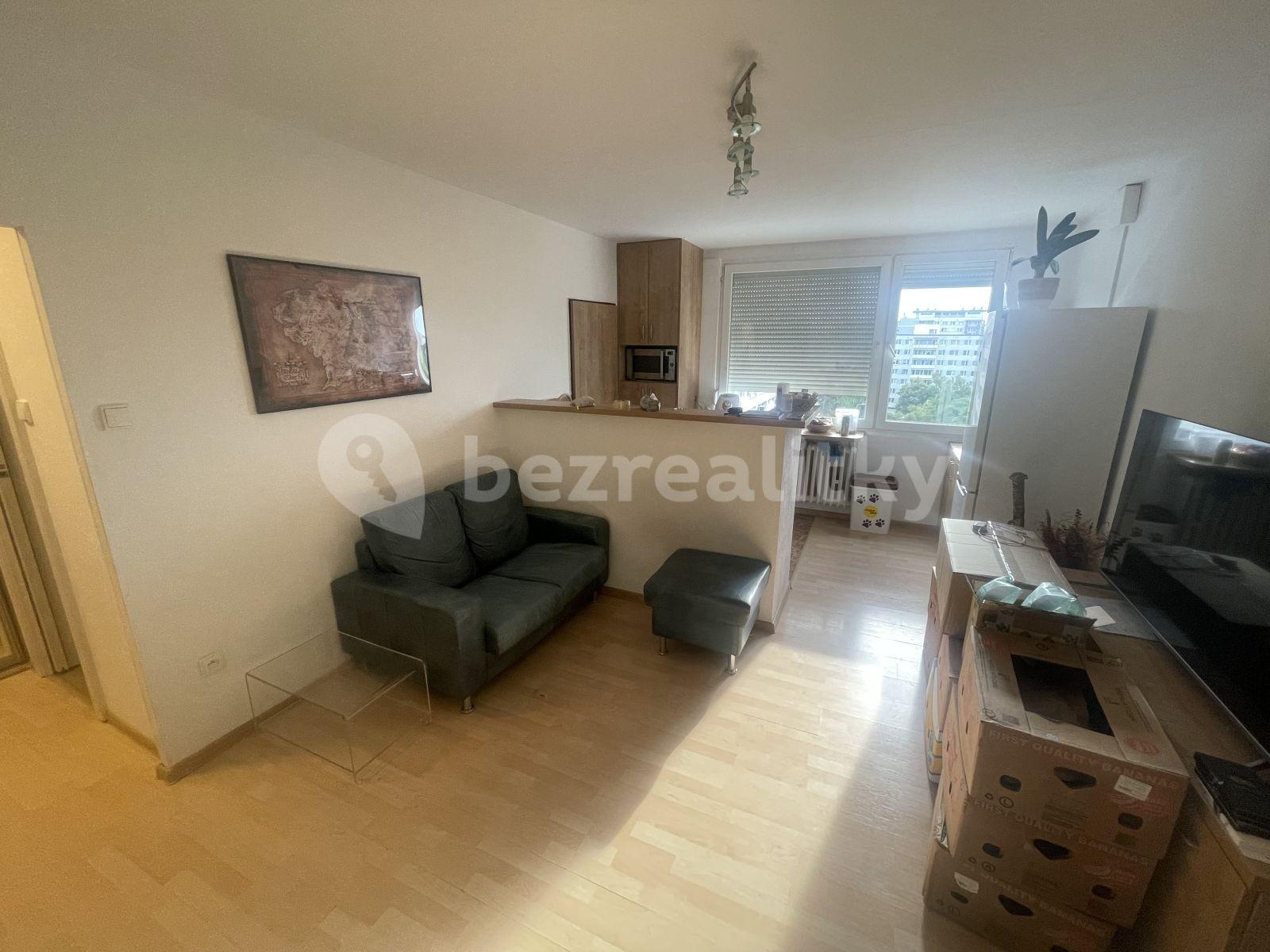 1 bedroom with open-plan kitchen flat to rent, 33 m², Černého, Prague, Prague