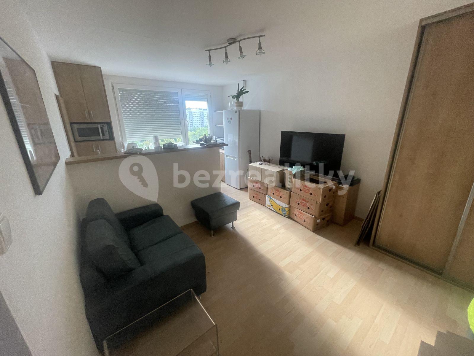 1 bedroom with open-plan kitchen flat to rent, 33 m², Černého, Prague, Prague