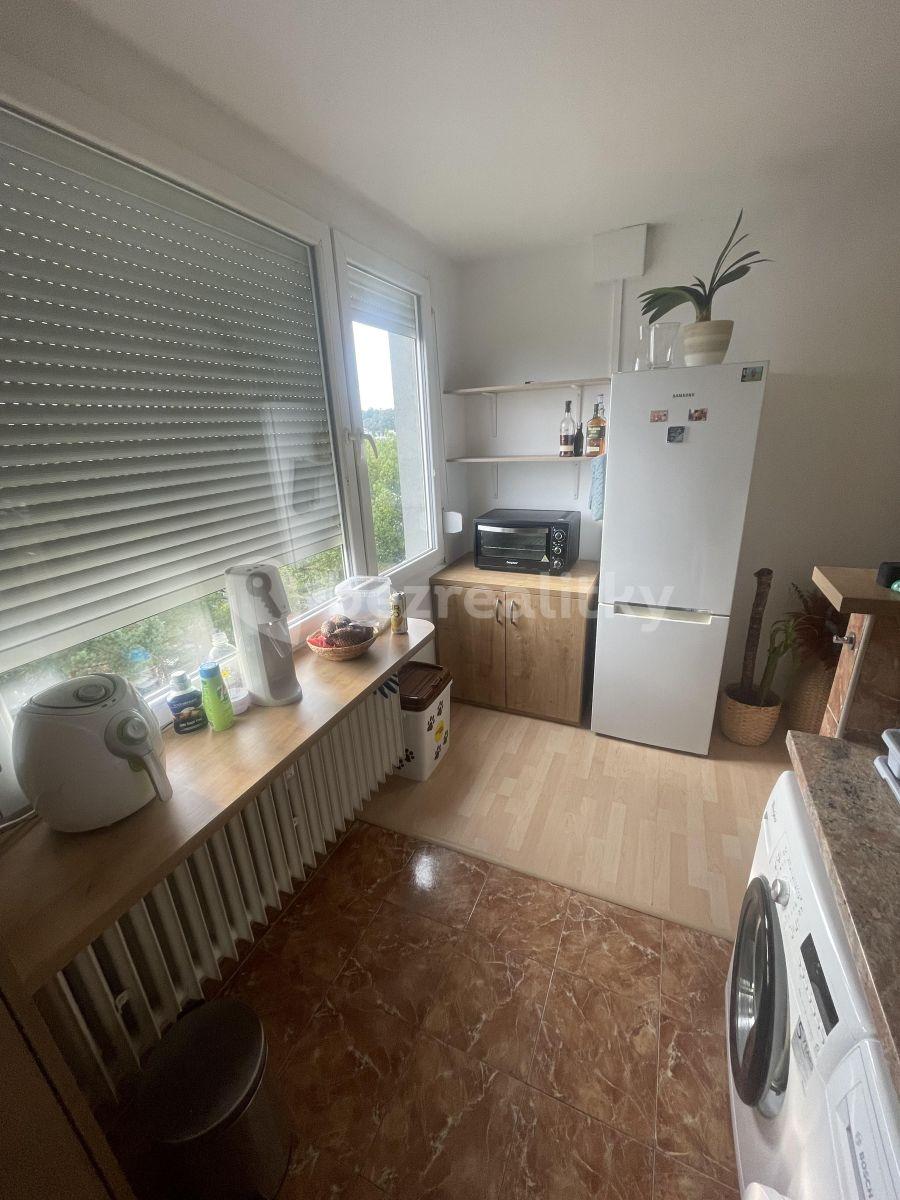 1 bedroom with open-plan kitchen flat to rent, 33 m², Černého, Prague, Prague