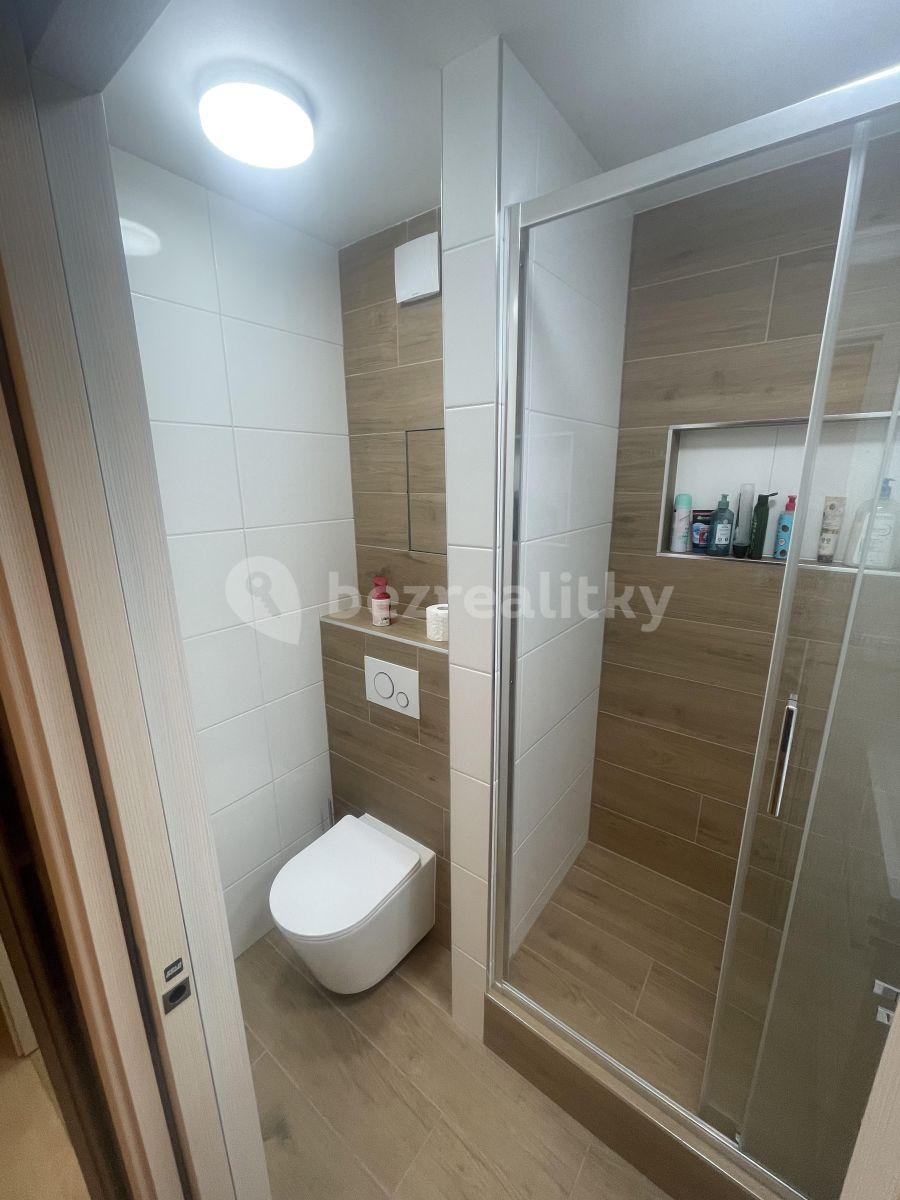 1 bedroom with open-plan kitchen flat to rent, 33 m², Černého, Prague, Prague