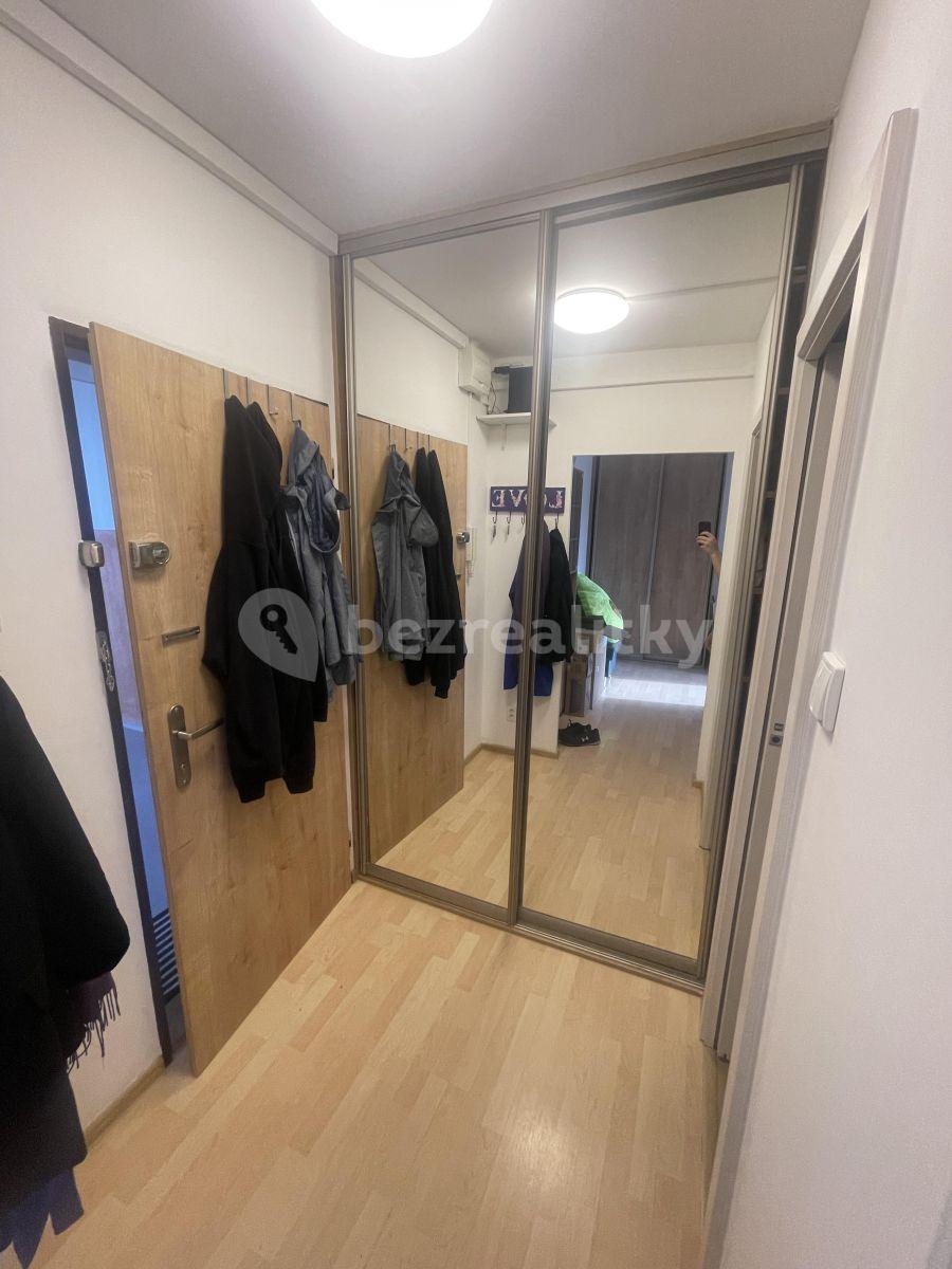 1 bedroom with open-plan kitchen flat to rent, 33 m², Černého, Prague, Prague