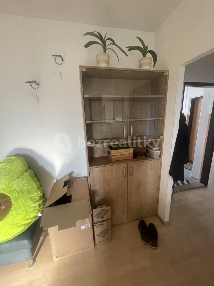 1 bedroom with open-plan kitchen flat to rent, 33 m², Černého, Prague, Prague