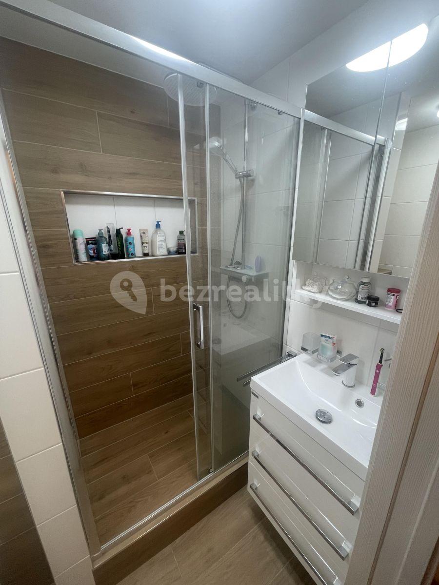 1 bedroom with open-plan kitchen flat to rent, 33 m², Černého, Prague, Prague