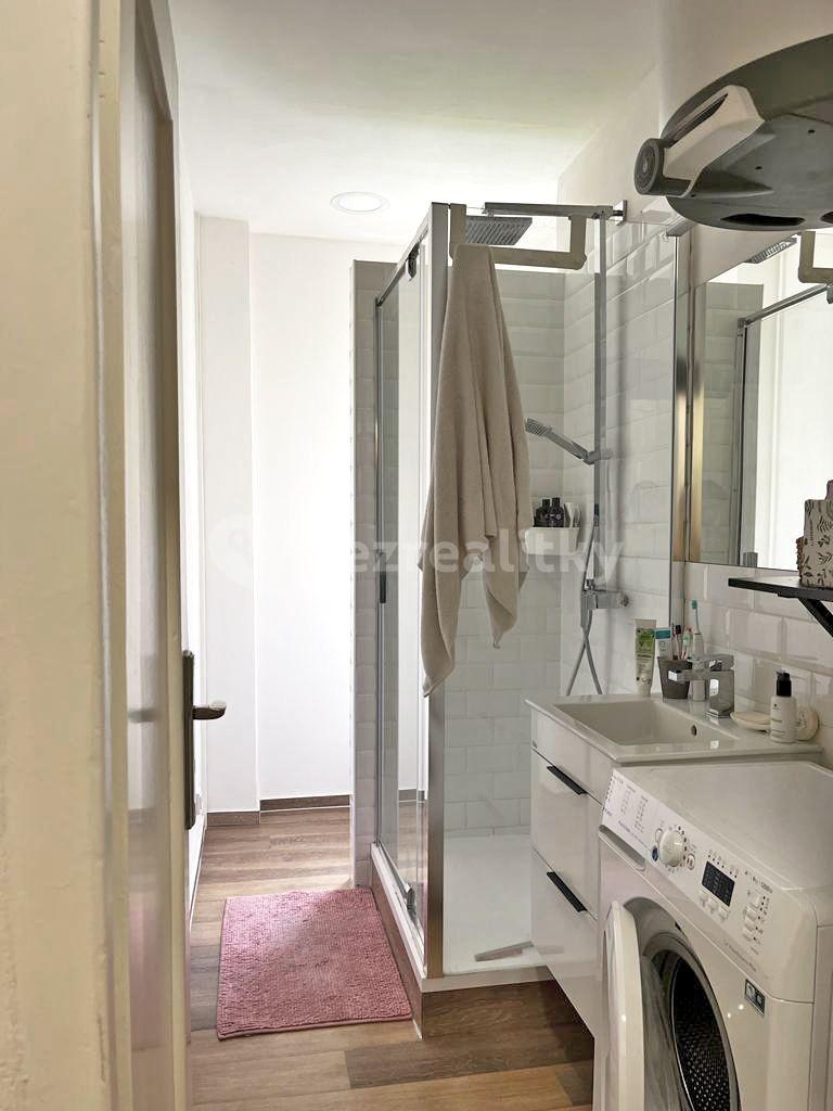 1 bedroom with open-plan kitchen flat to rent, 56 m², U Městských domů, Prague, Prague