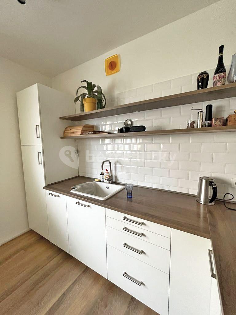 1 bedroom with open-plan kitchen flat to rent, 56 m², U Městských domů, Prague, Prague