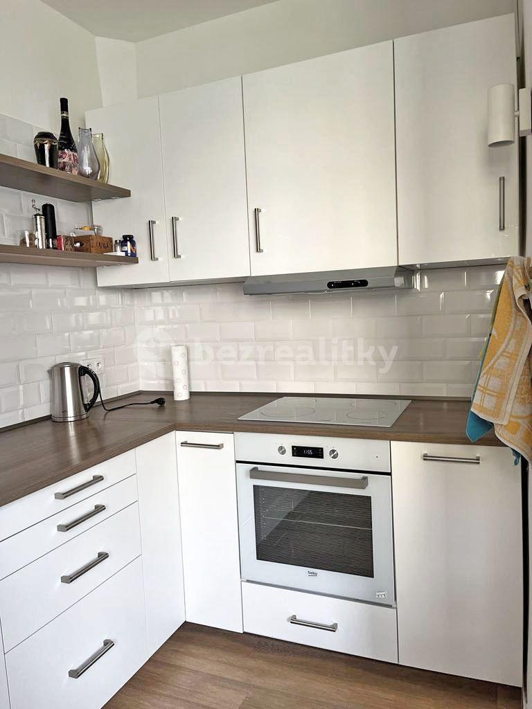 1 bedroom with open-plan kitchen flat to rent, 56 m², U Městských domů, Prague, Prague