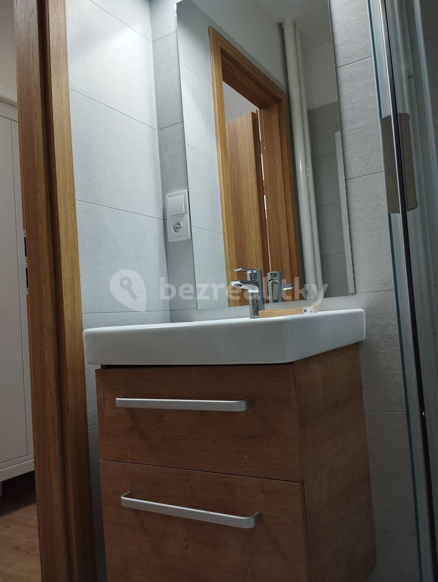 2 bedroom flat to rent, 52 m², Přistoupimská, Prague, Prague