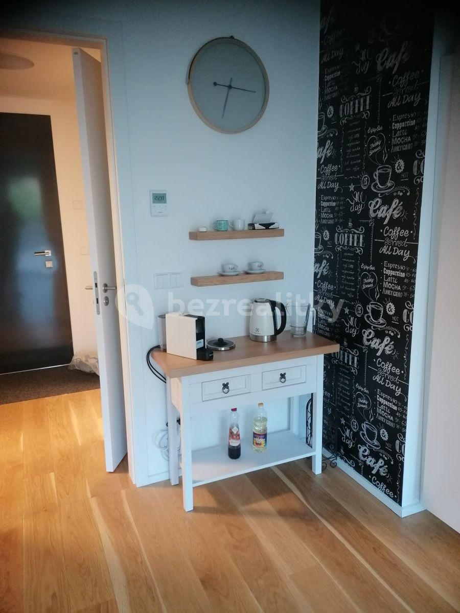 Studio flat for sale, 65 m², Lipno nad Vltavou, Jihočeský Region