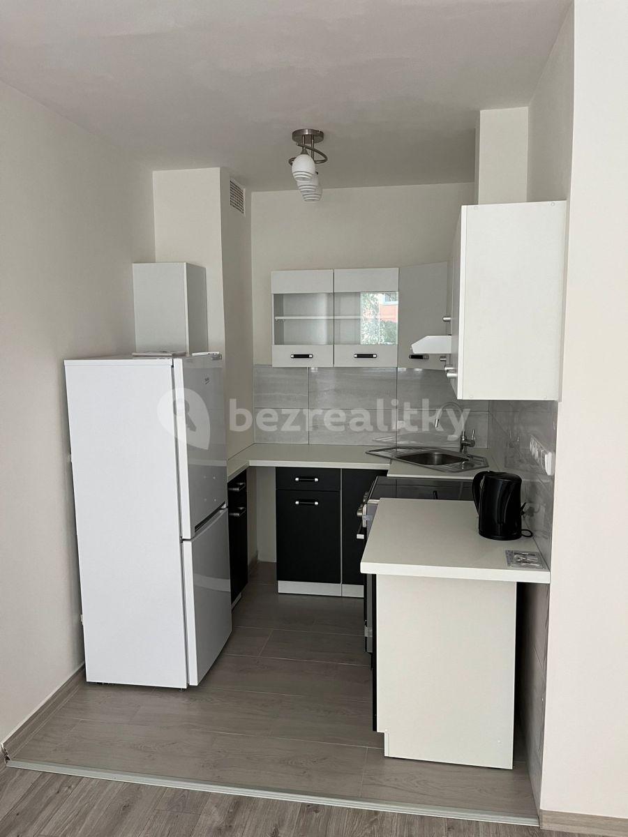 1 bedroom with open-plan kitchen flat to rent, 42 m², Zápasnická, Prague, Prague