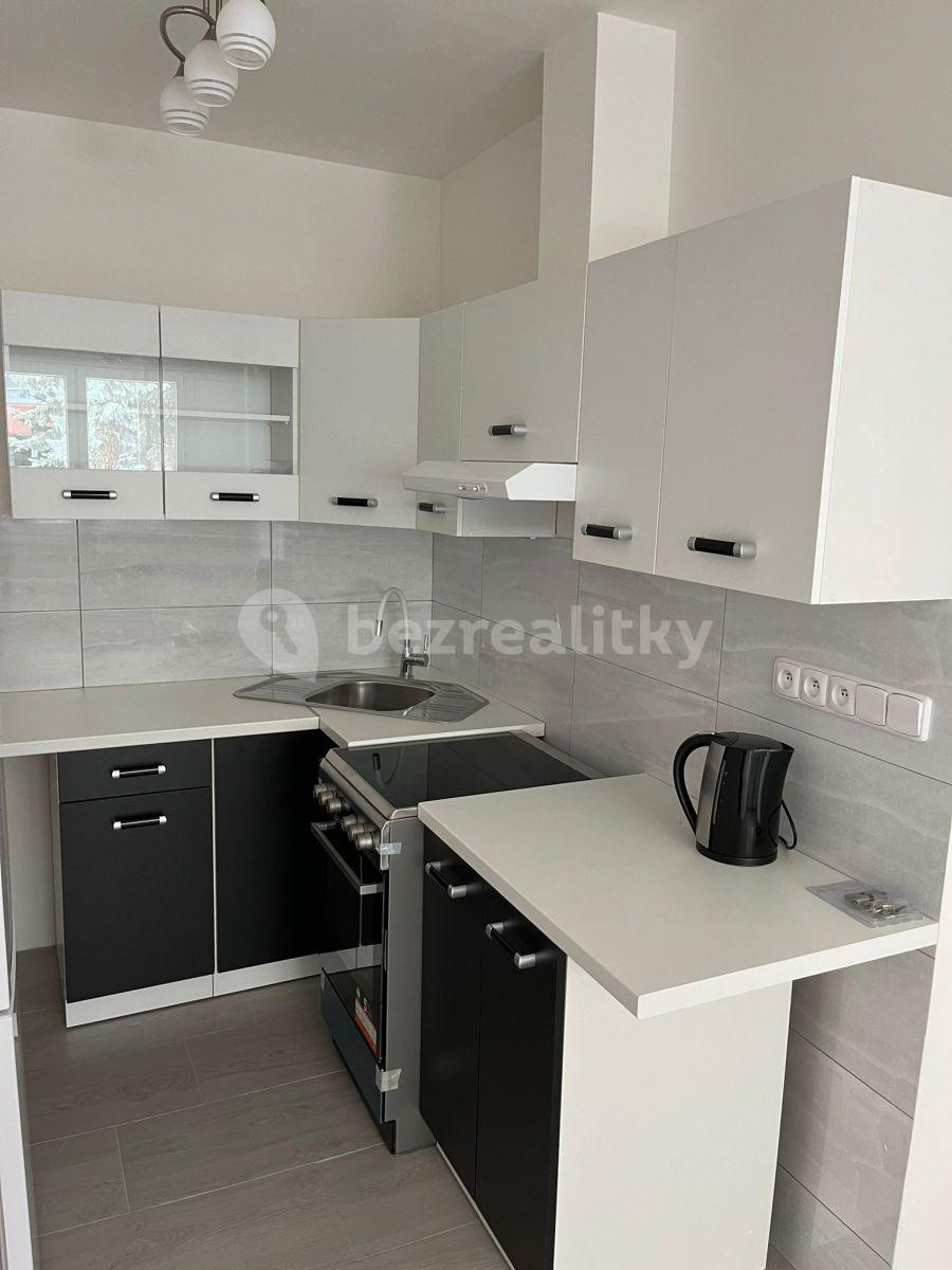 1 bedroom with open-plan kitchen flat to rent, 42 m², Zápasnická, Prague, Prague