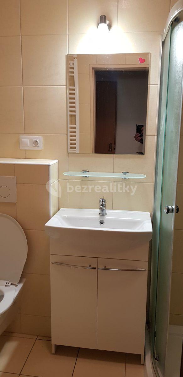 Studio flat to rent, 32 m², Hálkova, Plzeň, Plzeňský Region