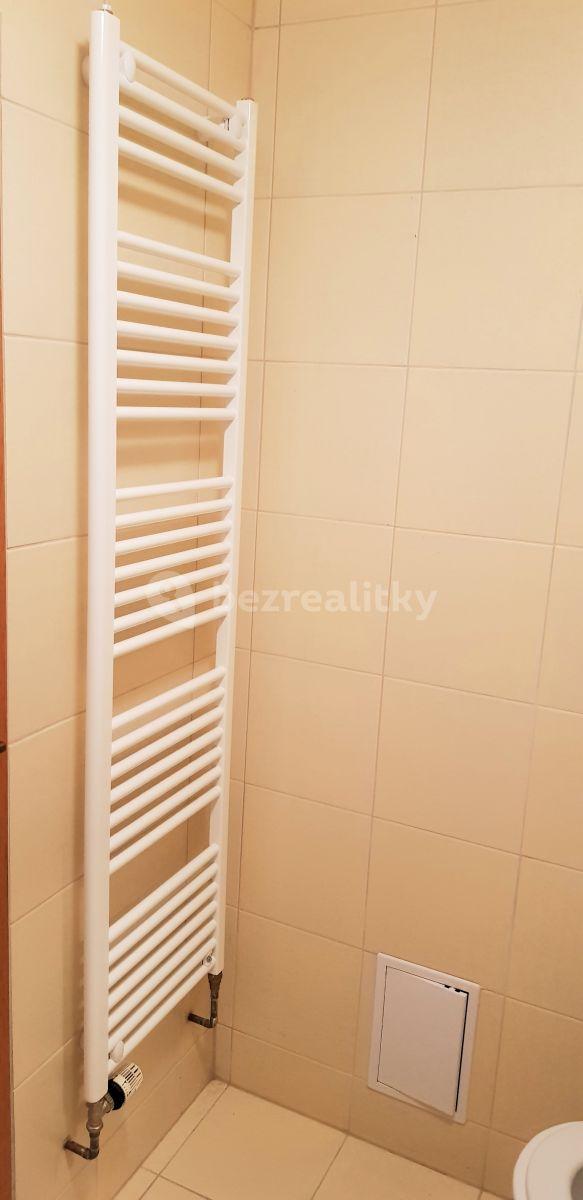 Studio flat to rent, 32 m², Hálkova, Plzeň, Plzeňský Region