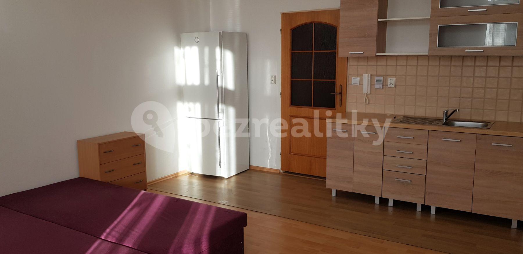 Studio flat to rent, 32 m², Hálkova, Plzeň, Plzeňský Region