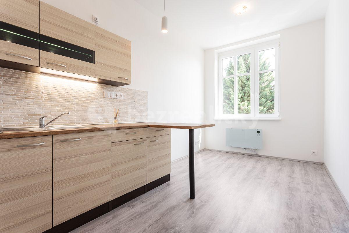 1 bedroom with open-plan kitchen flat to rent, 36 m², Davídkova, Prague, Prague