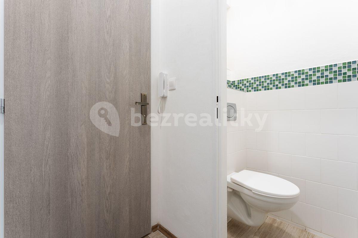 1 bedroom with open-plan kitchen flat to rent, 36 m², Davídkova, Prague, Prague