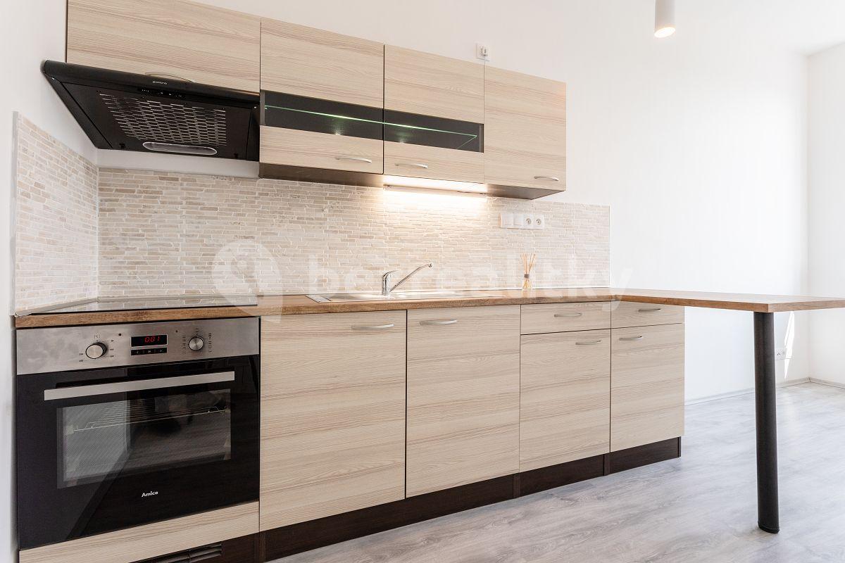 1 bedroom with open-plan kitchen flat to rent, 36 m², Davídkova, Prague, Prague