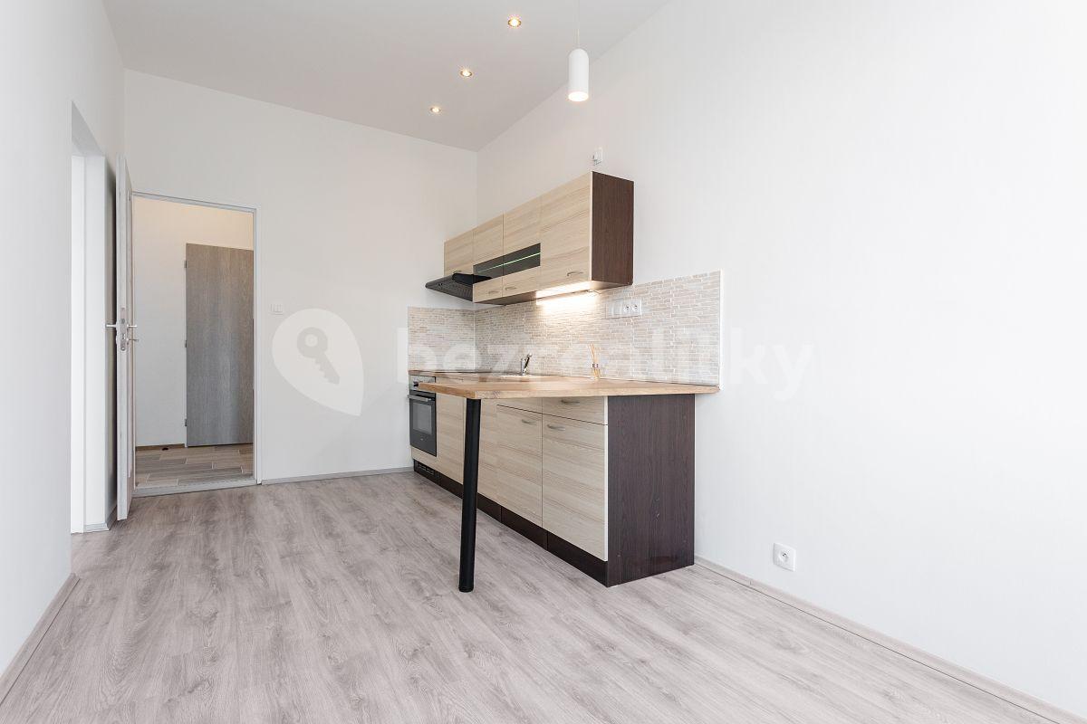 1 bedroom with open-plan kitchen flat to rent, 36 m², Davídkova, Prague, Prague