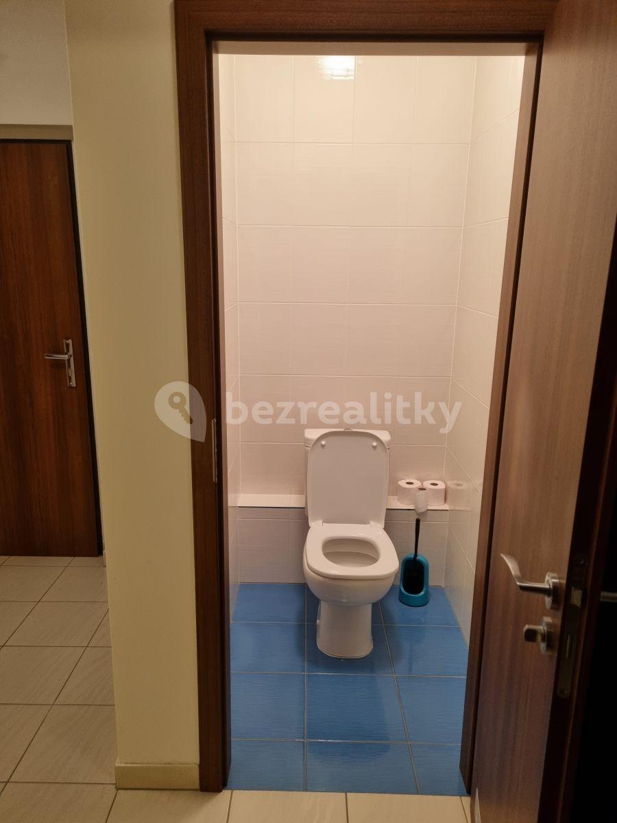 1 bedroom with open-plan kitchen flat to rent, 53 m², Jurkovičova, Prague, Prague