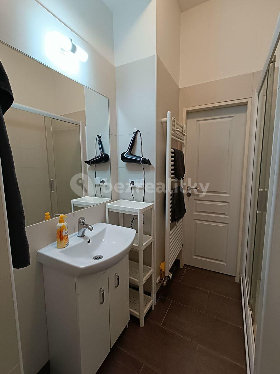 1 bedroom with open-plan kitchen flat to rent, 40 m², Ondříčkova, Prague, Prague