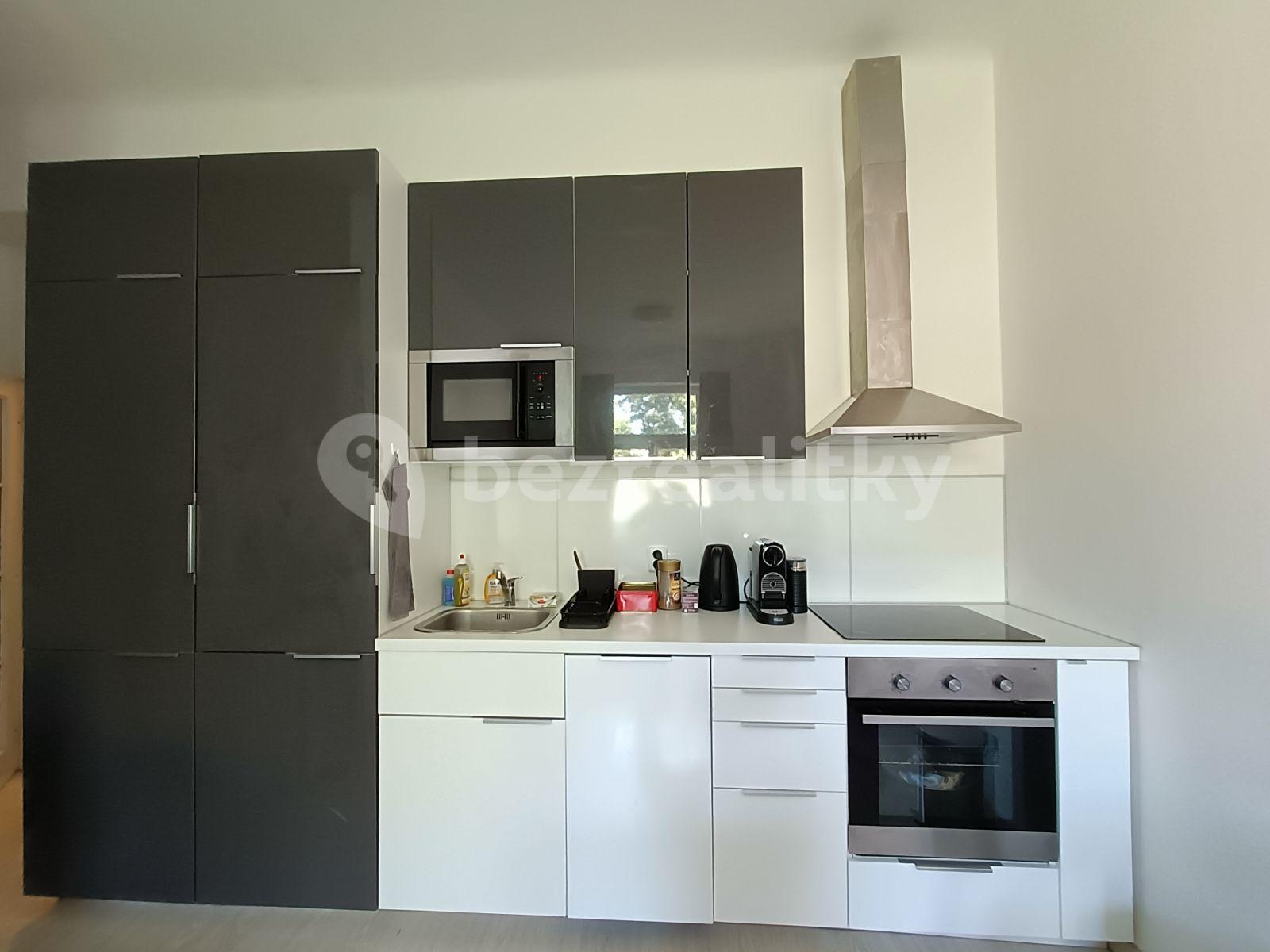 1 bedroom with open-plan kitchen flat to rent, 40 m², Ondříčkova, Prague, Prague