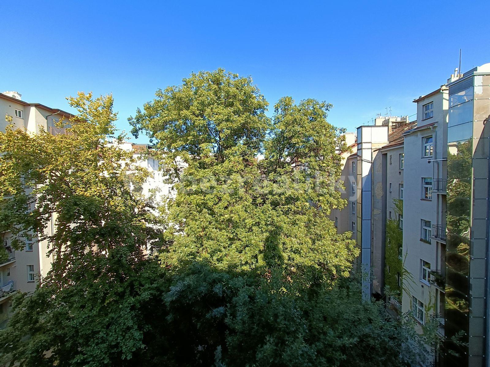 1 bedroom with open-plan kitchen flat to rent, 40 m², Ondříčkova, Prague, Prague