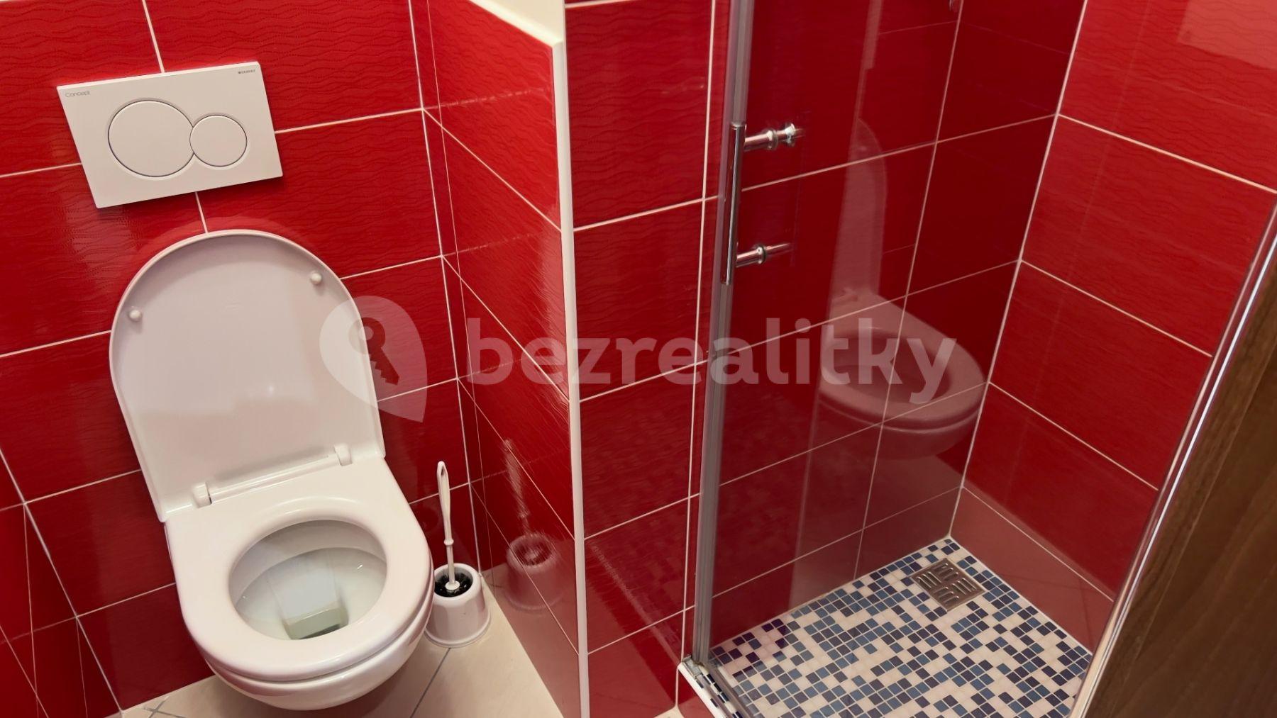 3 bedroom with open-plan kitchen flat to rent, 91 m², Mantovská, Prague, Prague