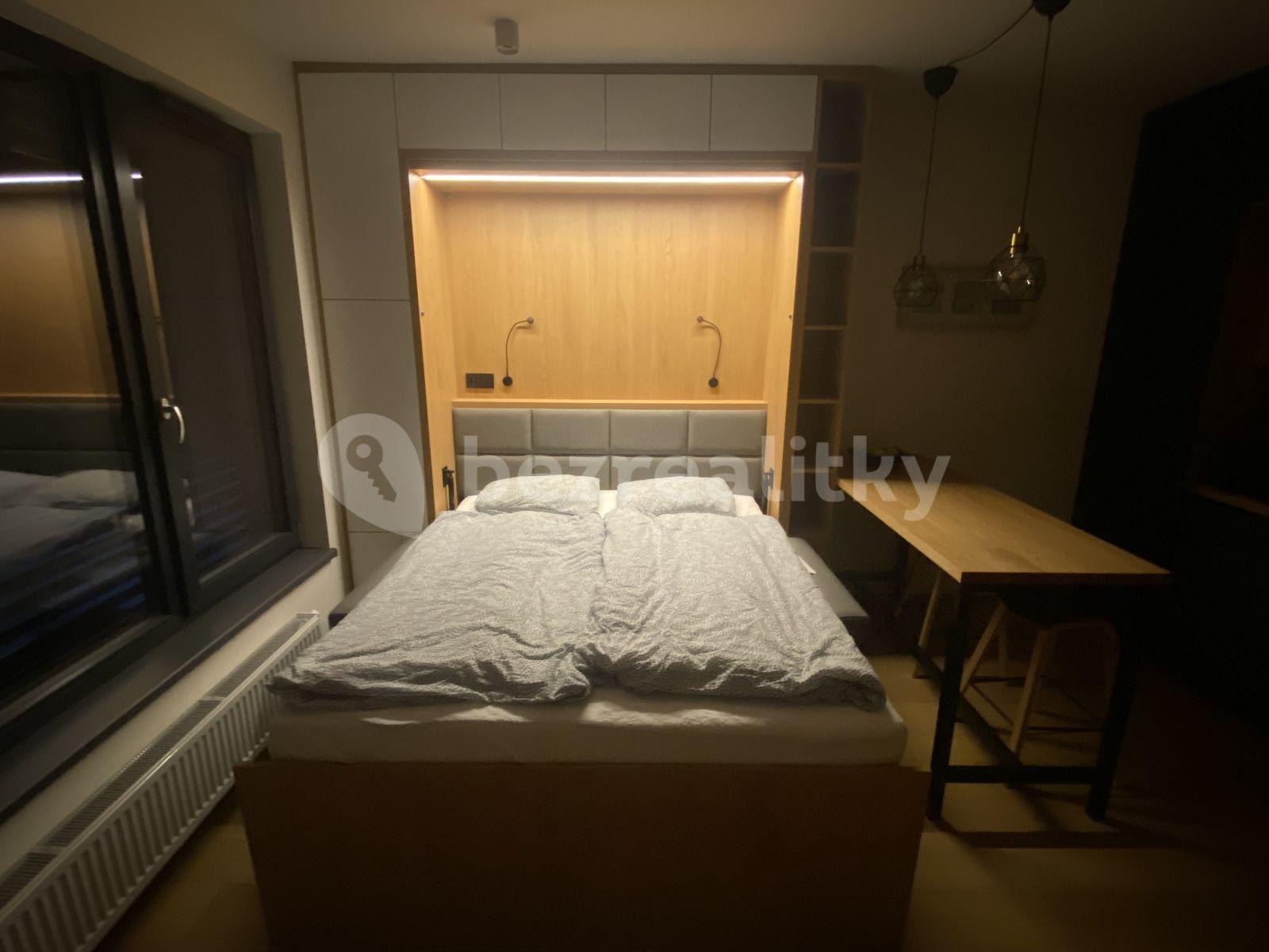 Studio flat to rent, 32 m², Azzoniho, Prague, Prague