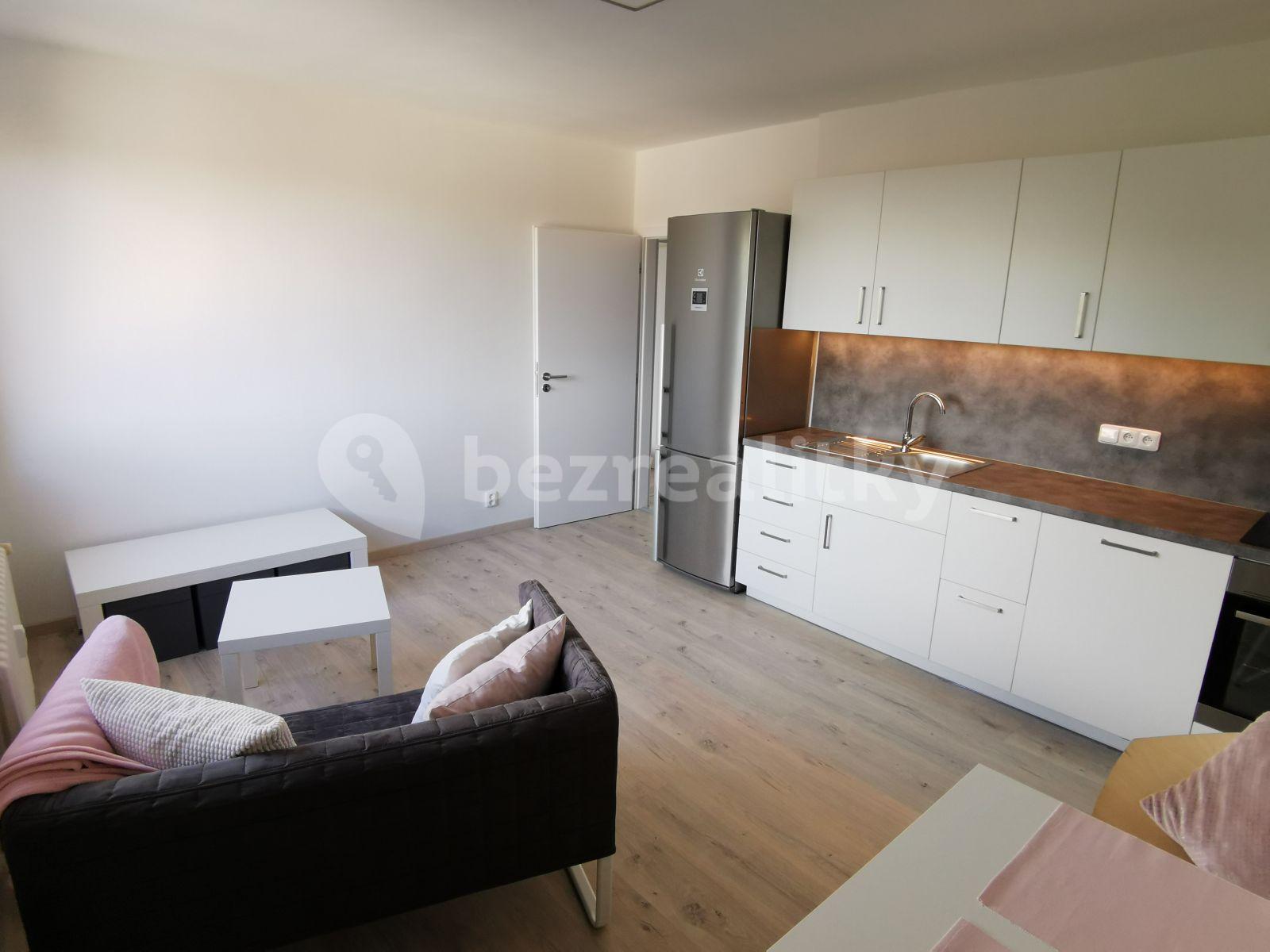 1 bedroom with open-plan kitchen flat to rent, 42 m², Krupská, Prague, Prague