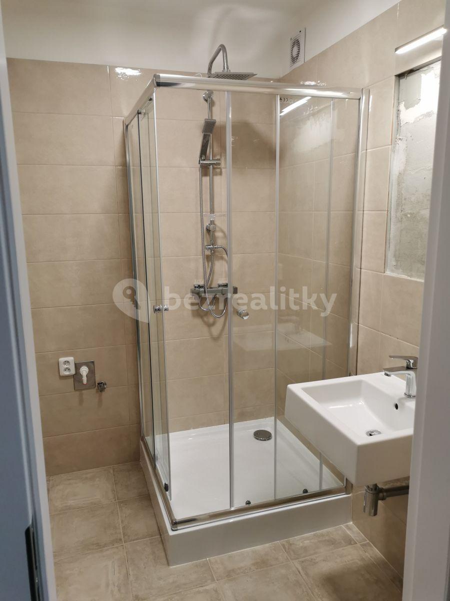 1 bedroom with open-plan kitchen flat to rent, 42 m², Krupská, Prague, Prague