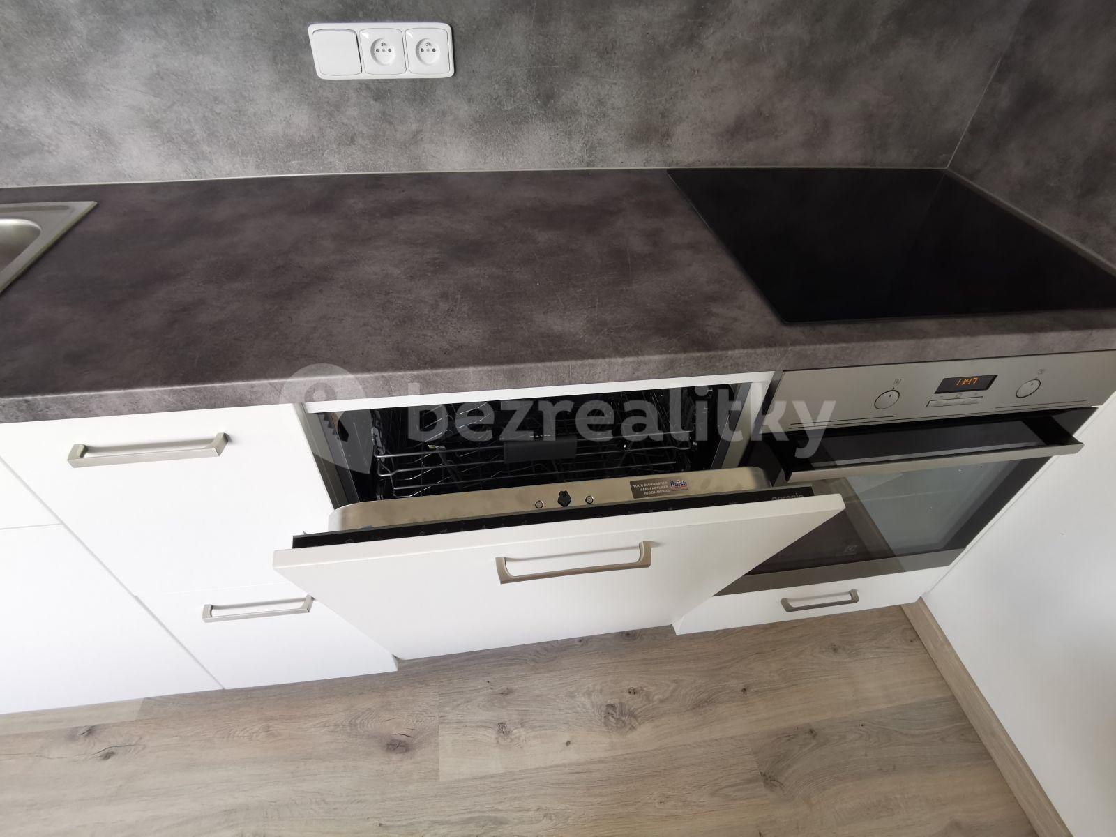 1 bedroom with open-plan kitchen flat to rent, 42 m², Krupská, Prague, Prague