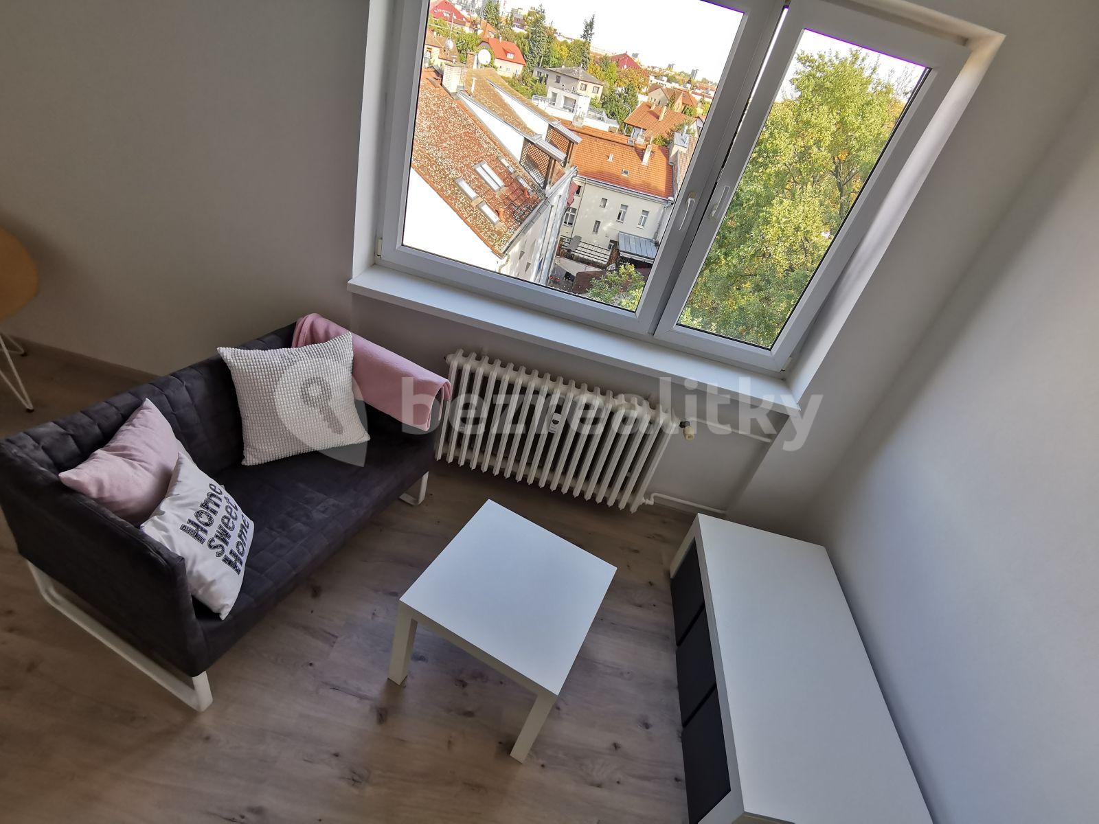 1 bedroom with open-plan kitchen flat to rent, 42 m², Krupská, Prague, Prague