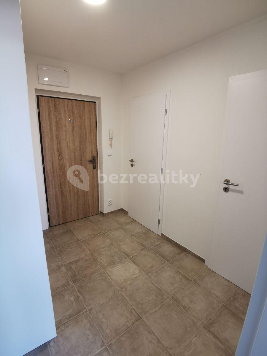 1 bedroom with open-plan kitchen flat to rent, 42 m², Krupská, Prague, Prague