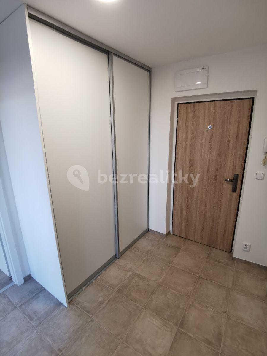 1 bedroom with open-plan kitchen flat to rent, 42 m², Krupská, Prague, Prague