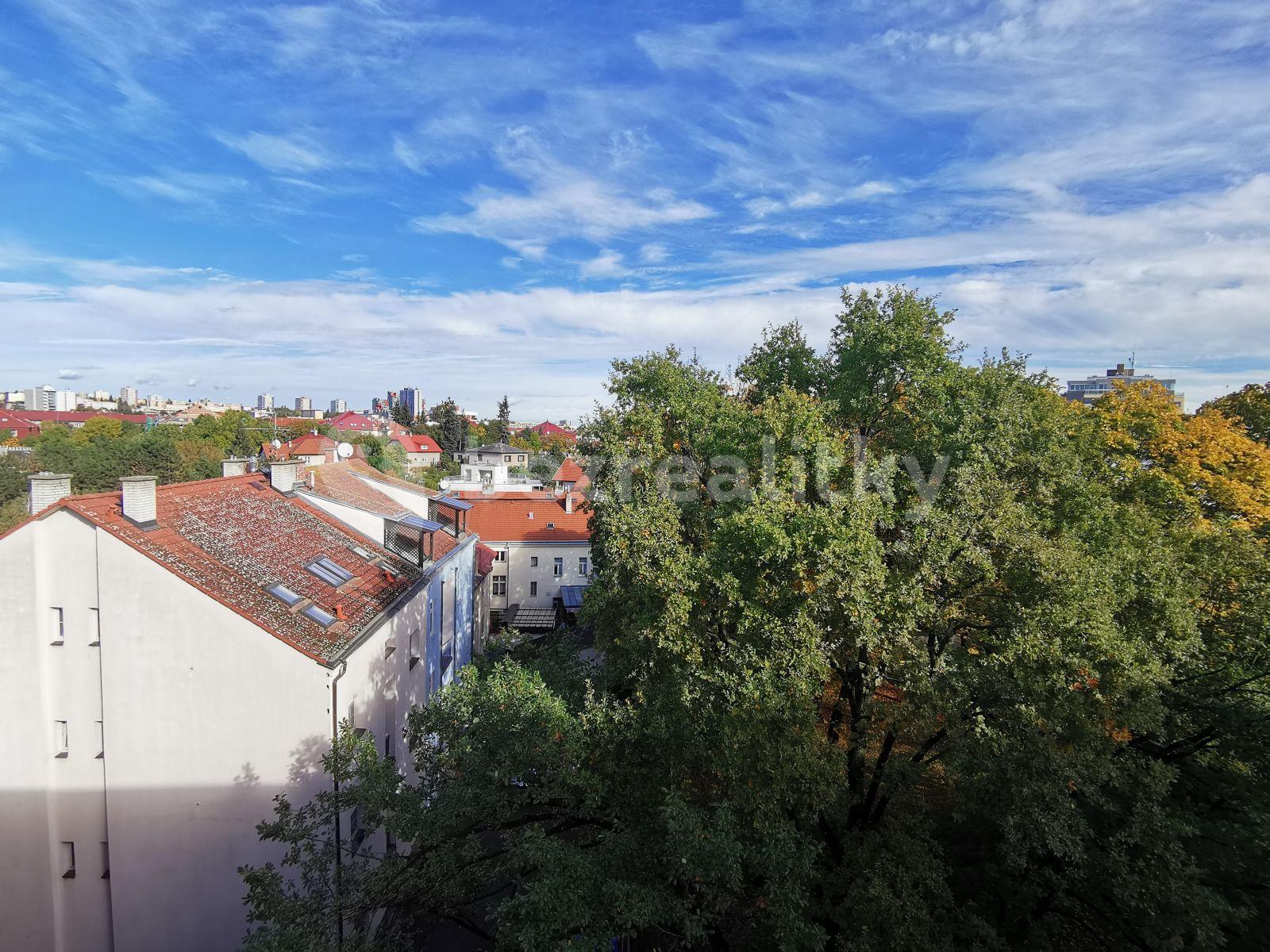 1 bedroom with open-plan kitchen flat to rent, 42 m², Krupská, Prague, Prague