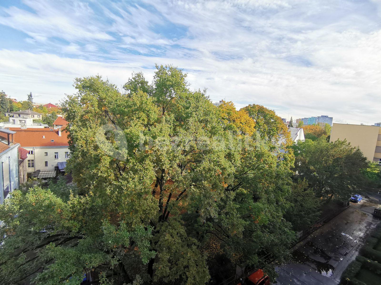 1 bedroom with open-plan kitchen flat to rent, 42 m², Krupská, Prague, Prague