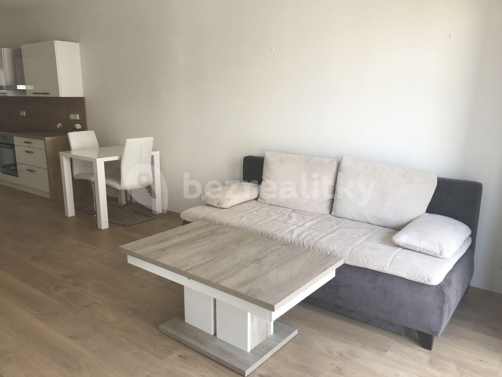 1 bedroom with open-plan kitchen flat to rent, 65 m², Nová, České Budějovice, Jihočeský Region