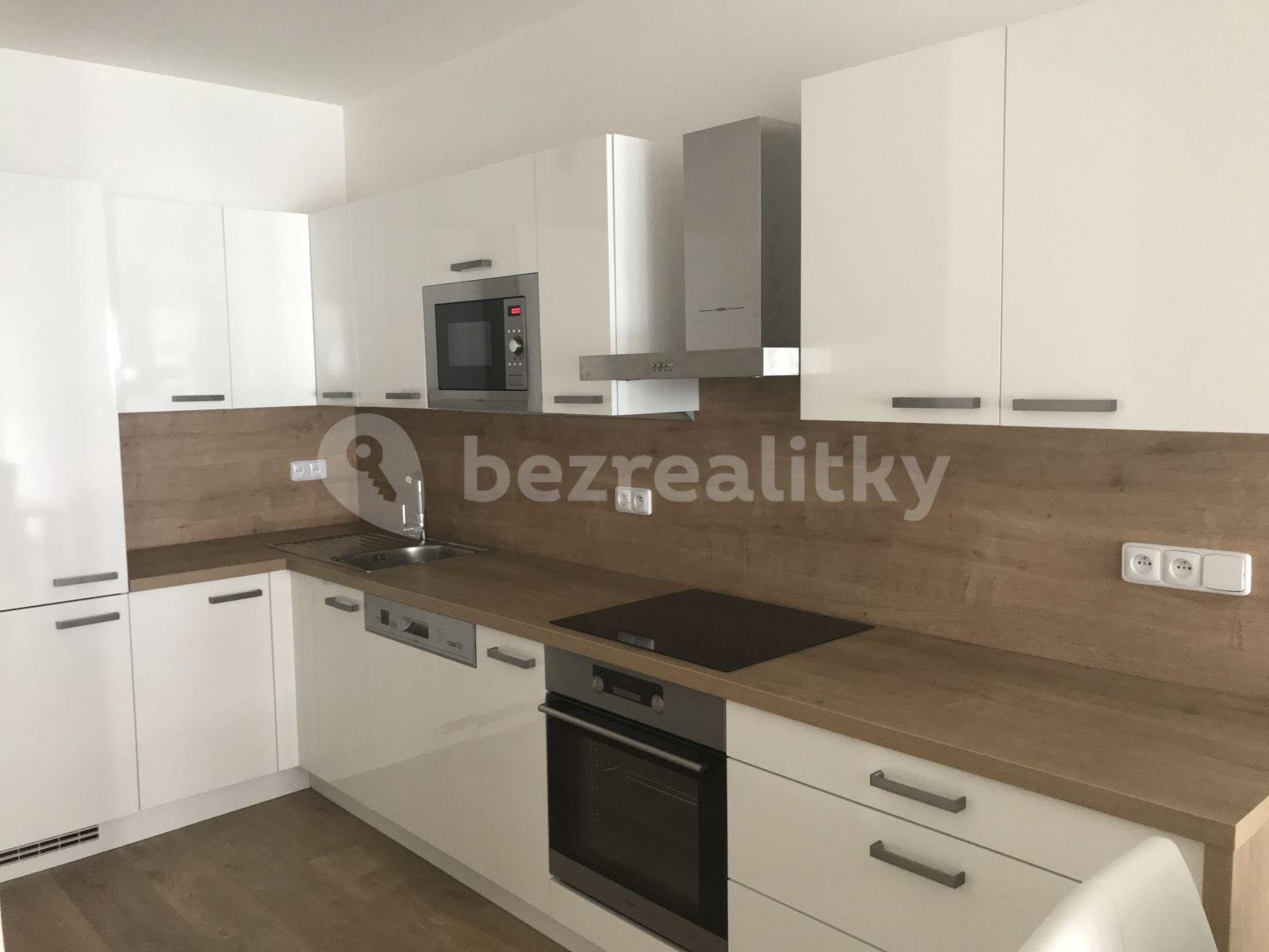 1 bedroom with open-plan kitchen flat to rent, 65 m², Nová, České Budějovice, Jihočeský Region