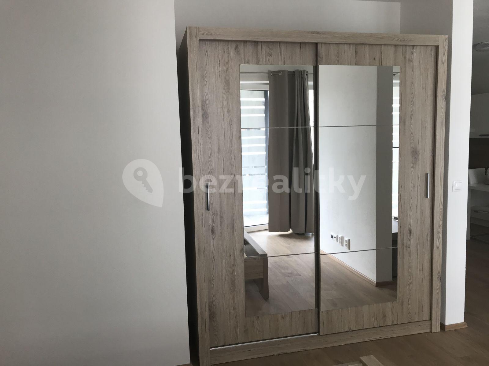 1 bedroom with open-plan kitchen flat to rent, 65 m², Nová, České Budějovice, Jihočeský Region