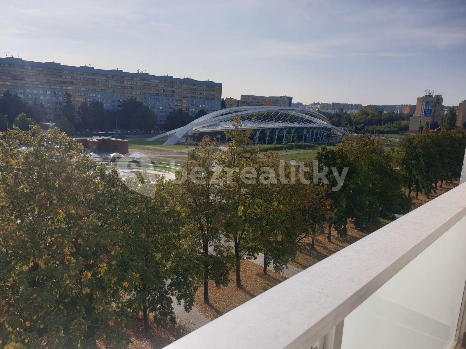 1 bedroom with open-plan kitchen flat to rent, 43 m², Jablonecká, Prague, Prague