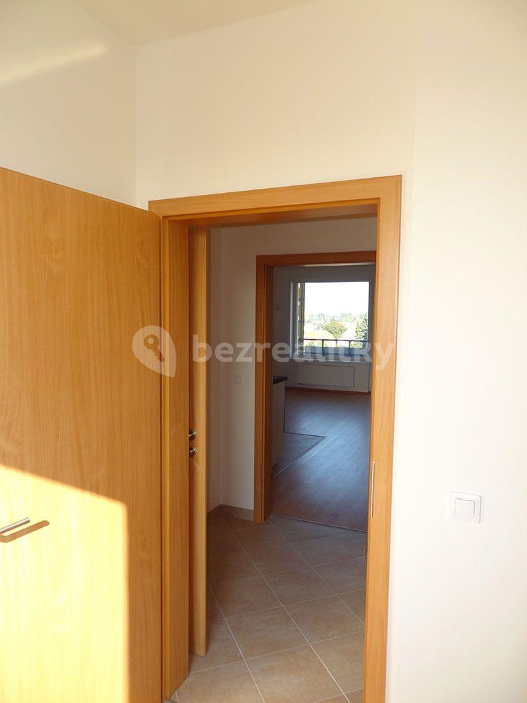 1 bedroom with open-plan kitchen flat to rent, 49 m², Hornoměcholupská, Prague, Prague