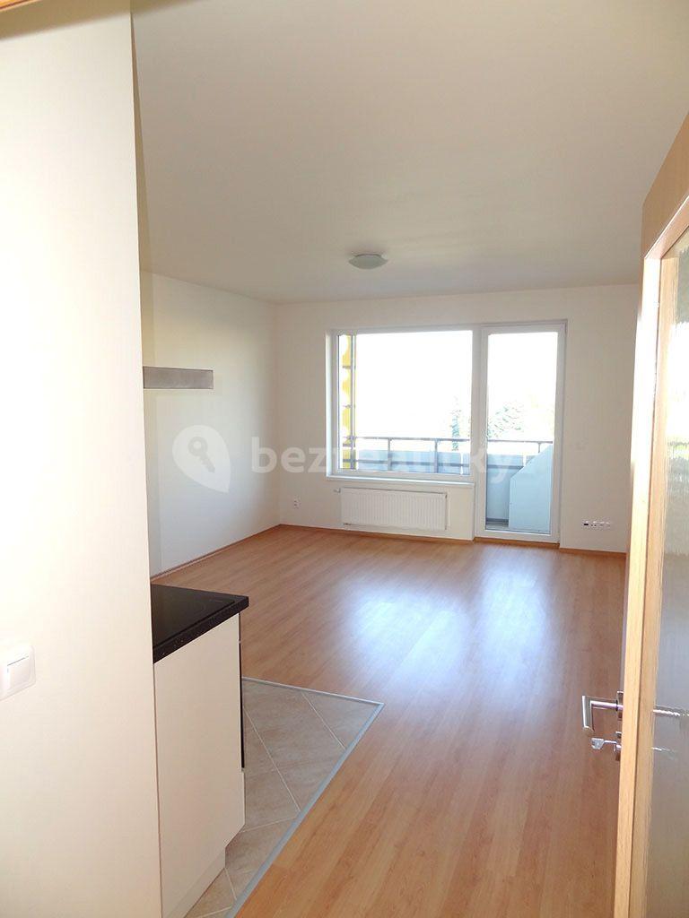 1 bedroom with open-plan kitchen flat to rent, 49 m², Hornoměcholupská, Prague, Prague