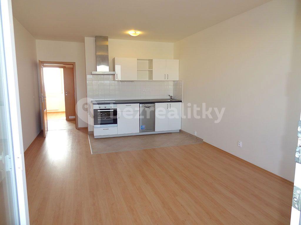 1 bedroom with open-plan kitchen flat to rent, 49 m², Hornoměcholupská, Prague, Prague