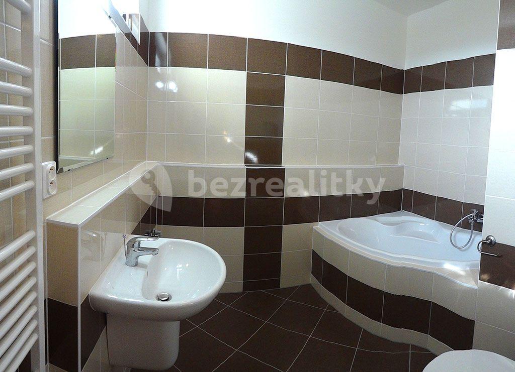 1 bedroom with open-plan kitchen flat to rent, 49 m², Hornoměcholupská, Prague, Prague