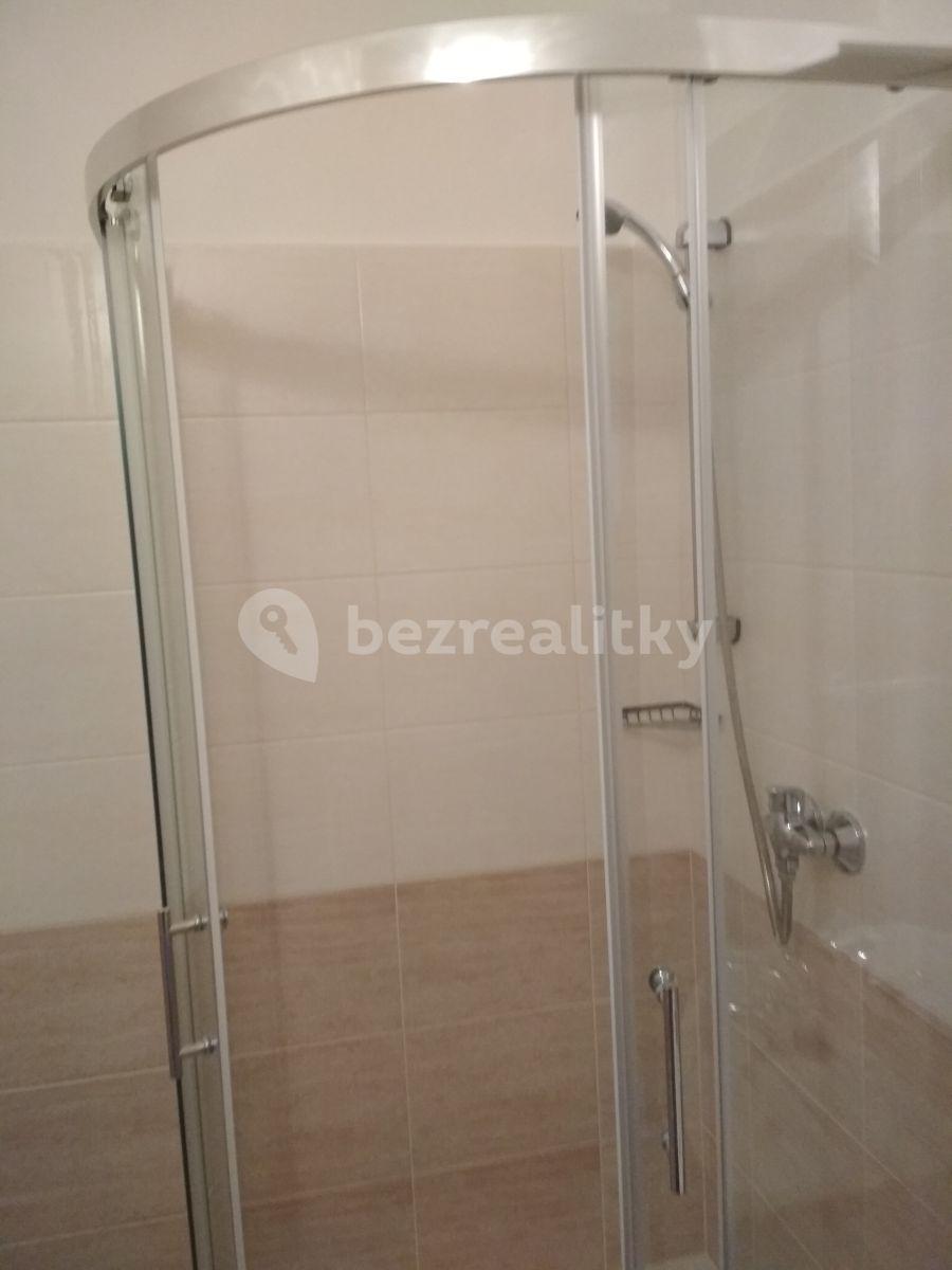 2 bedroom flat to rent, 54 m², Krupská, Prague, Prague