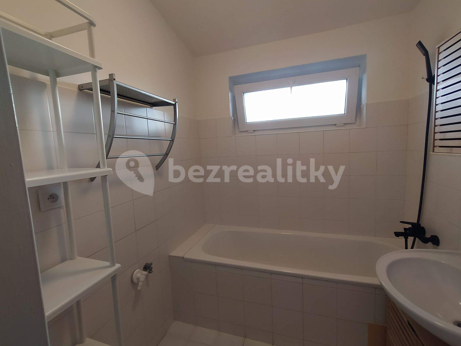 1 bedroom with open-plan kitchen flat to rent, 63 m², Dářská, Prague, Prague