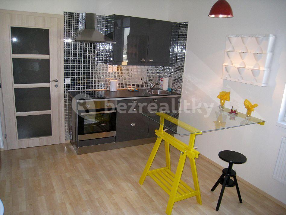 Studio flat to rent, 23 m², Prague, Prague