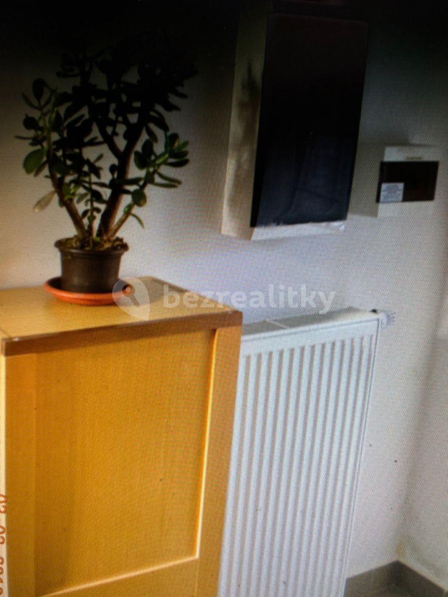 Studio flat to rent, 20 m², Roztylské sady, Prague, Prague