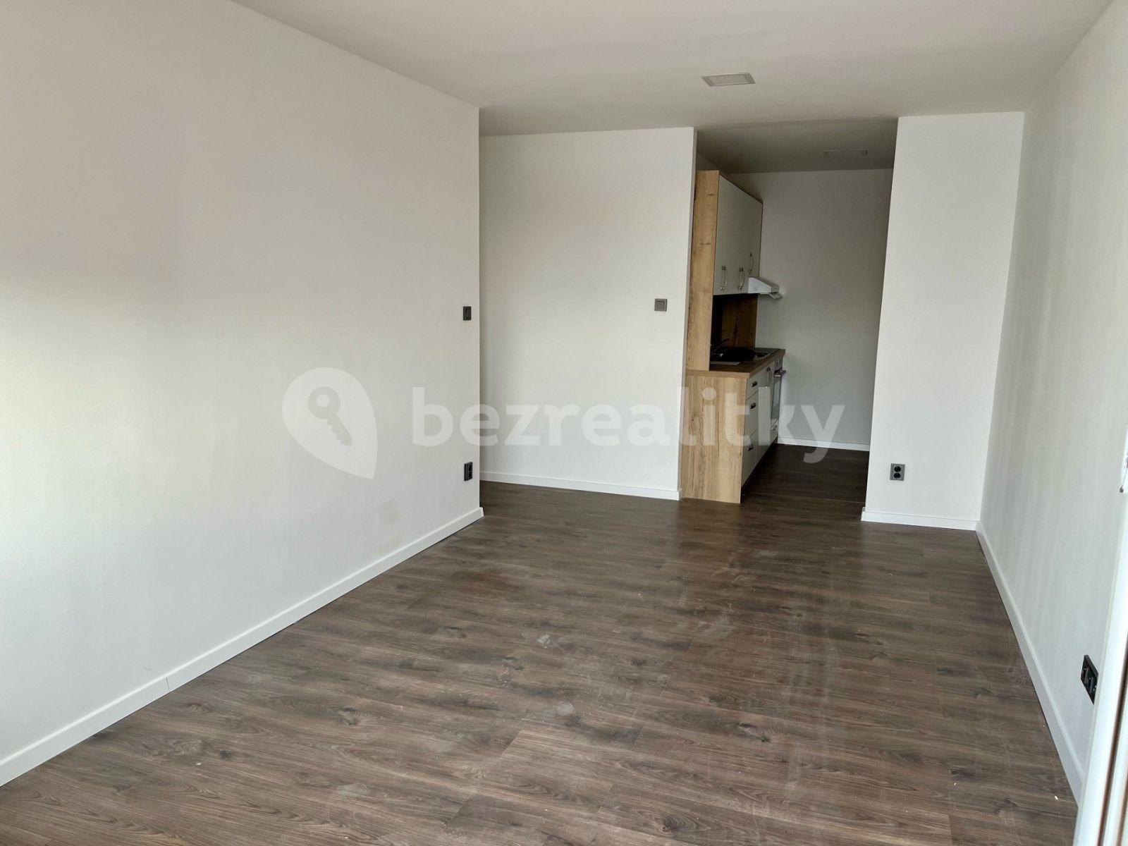 1 bedroom with open-plan kitchen flat to rent, 52 m², Plickova, Prague, Prague