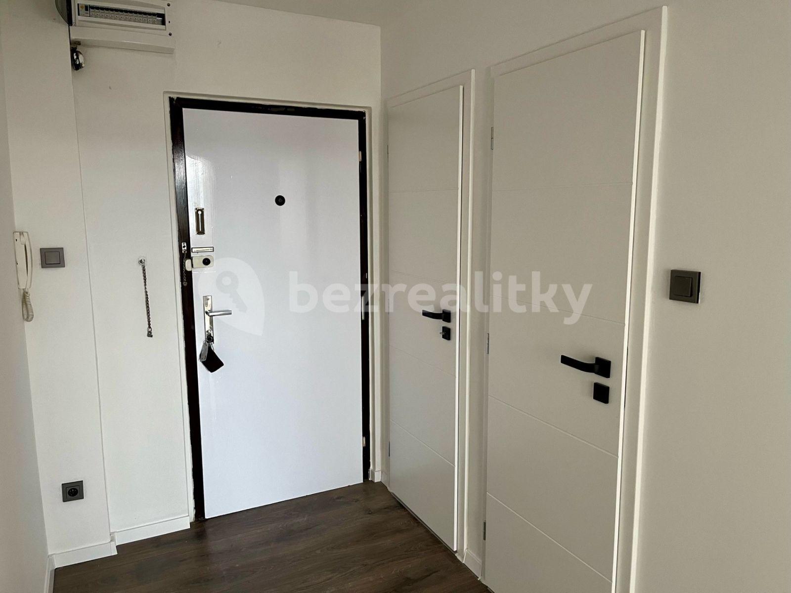 1 bedroom with open-plan kitchen flat to rent, 52 m², Plickova, Prague, Prague