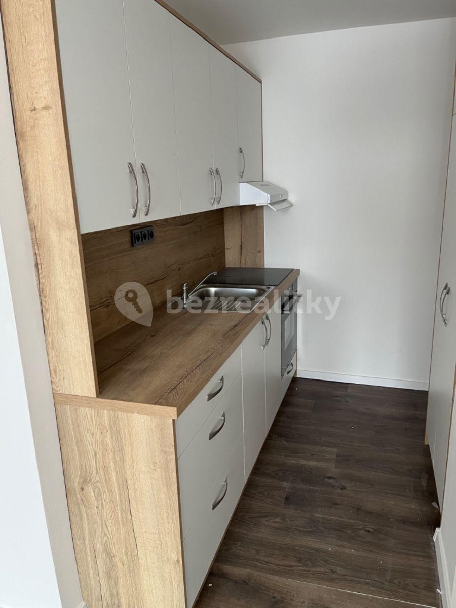 1 bedroom with open-plan kitchen flat to rent, 52 m², Plickova, Prague, Prague